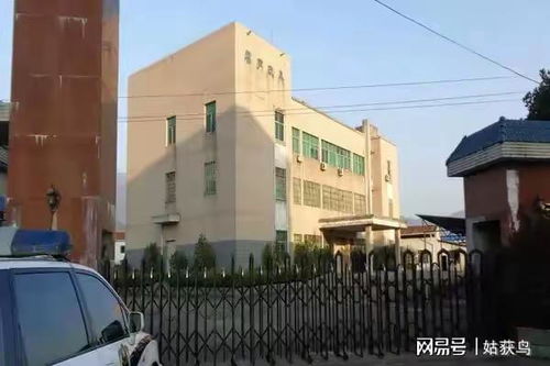 恭喜啊 南平市的一座大型工厂第三次拍卖,被人以582.6万元竞得