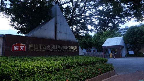 联合引擎 为什么是佛山