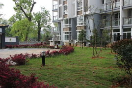 南平武夷山樟树园108树 楼盘房价 户型详情 周边配套 南平楼盘网