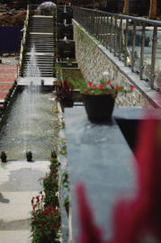 春暖花开正当时，南平房地产迎来新机遇